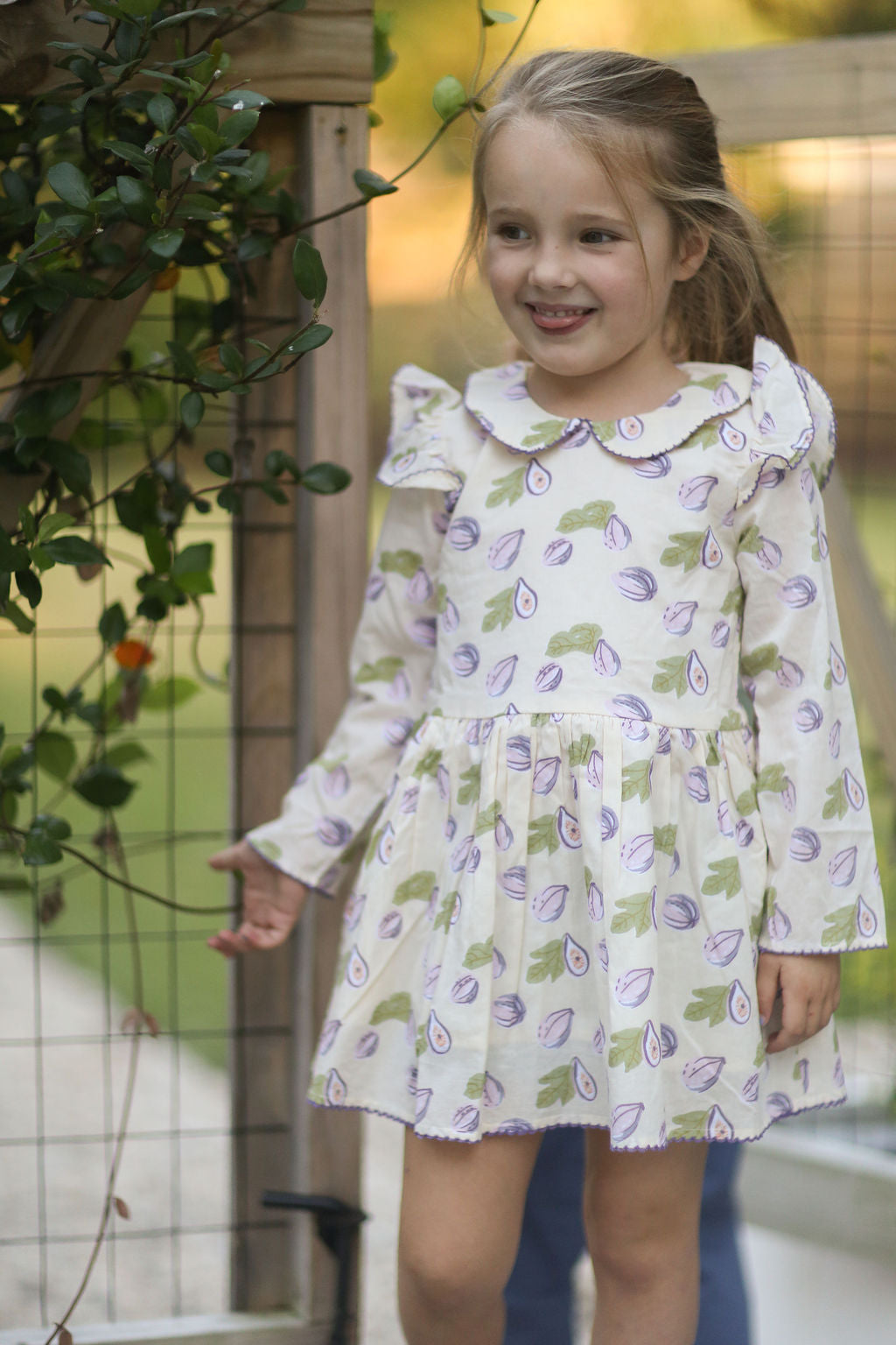 Collared Capers Dress - Long Sleeves - Fig