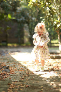 Collared Capers Dress - Long Sleeves - Fig