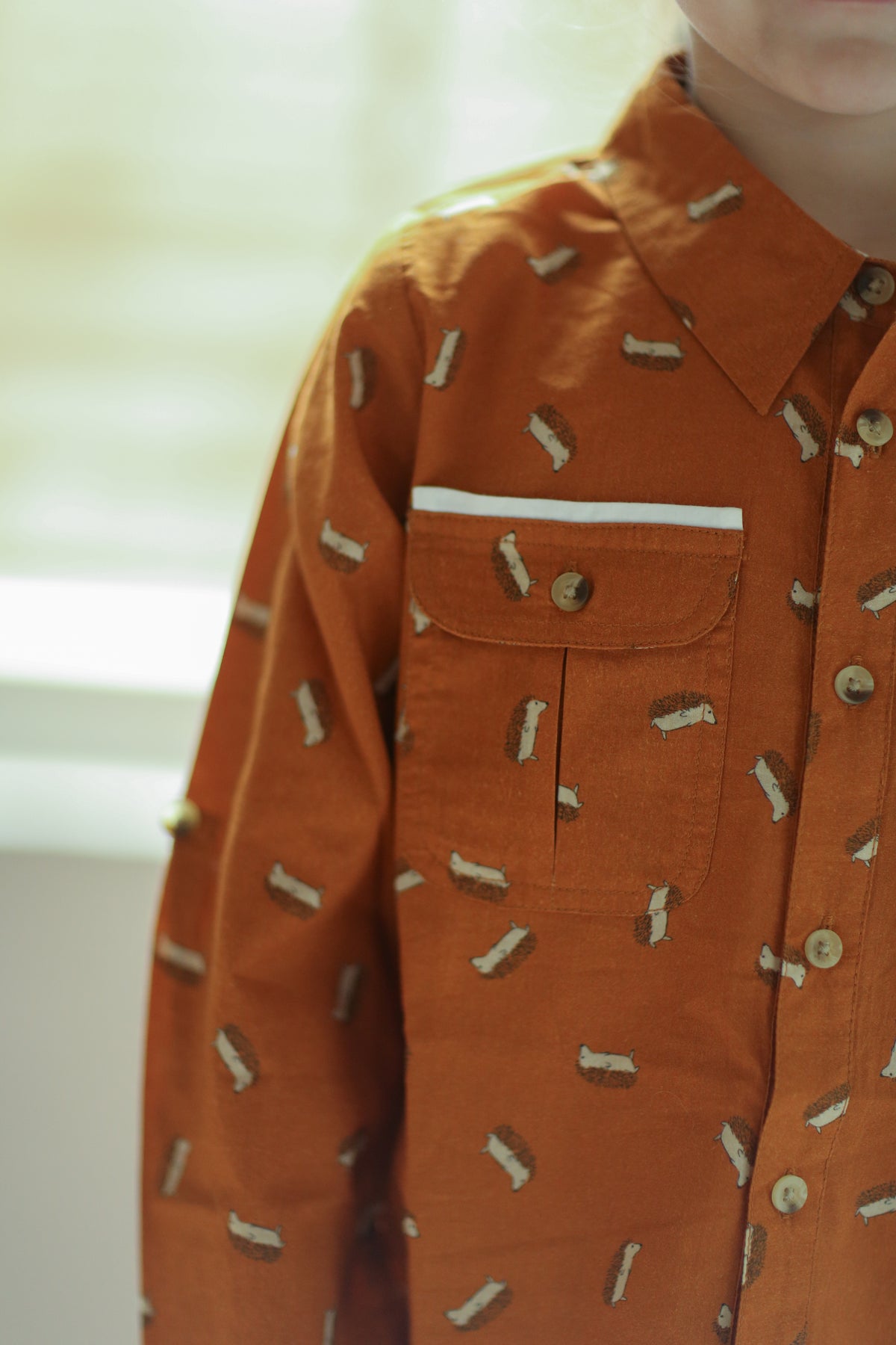 (pre-order) The Sea Shirt - long sleeve - Hedgehogs