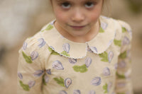 Collared Capers Dress - Long Sleeves - Fig