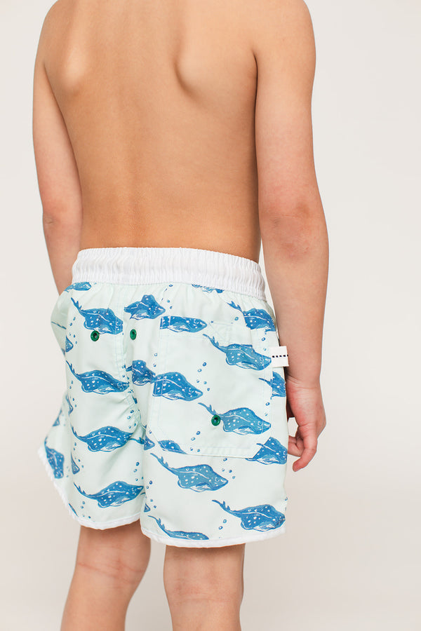 The SWIM Short - Stingray