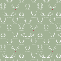 Kid's Classic Pajama Set - Reindeer Games - Green