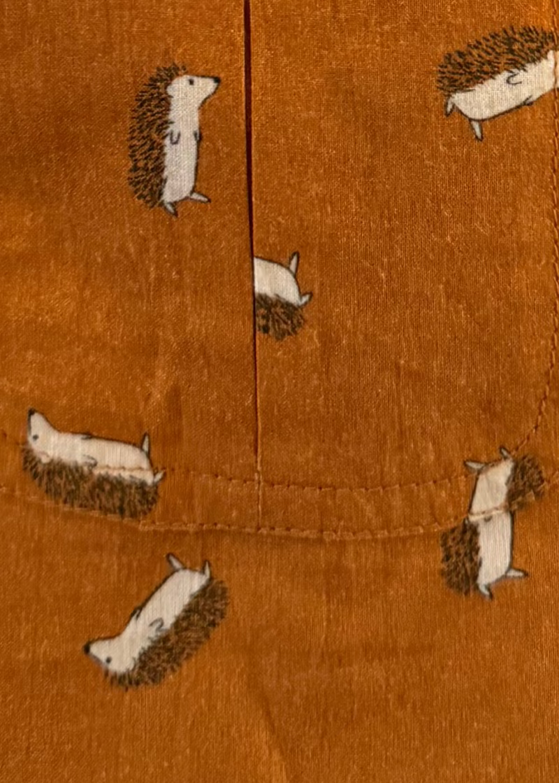 (pre-order) Men's Pajama Pant - Brown Hedghehogs