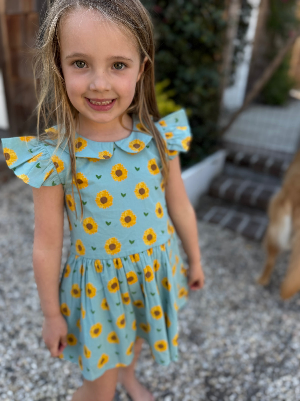 The Collared Capers Dress - sunflowers