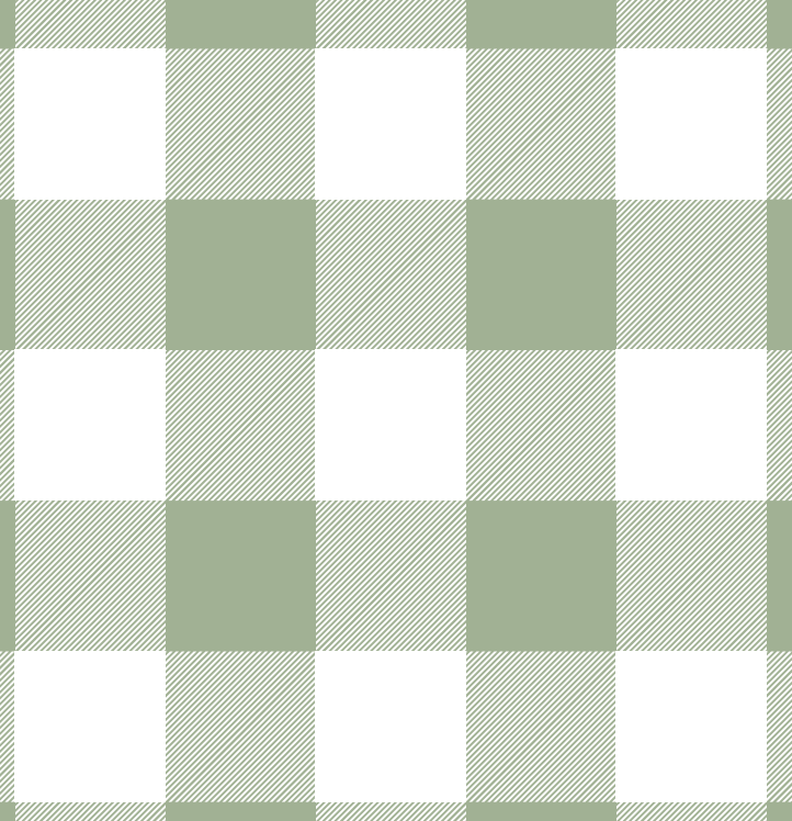 Women's Classic Pajama Set - Green Gingham